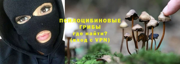 амфетамин Алексеевка