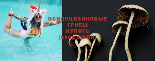 амфетамин Алексеевка