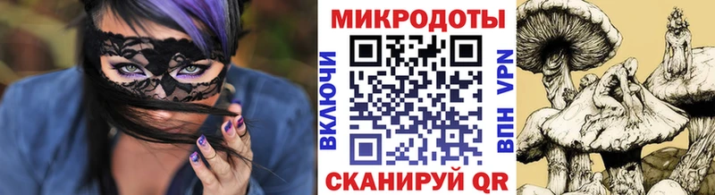 Галлюциногенные грибы Psilocybe  Ярославль 